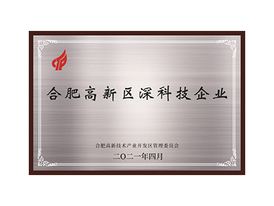 合肥高新区深科技企业