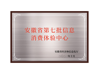 安徽省第七批信息消费体验中心