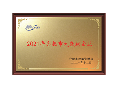 2021年合肥市大数据企业