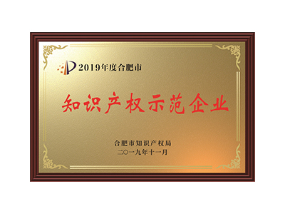 知识产权示范企业